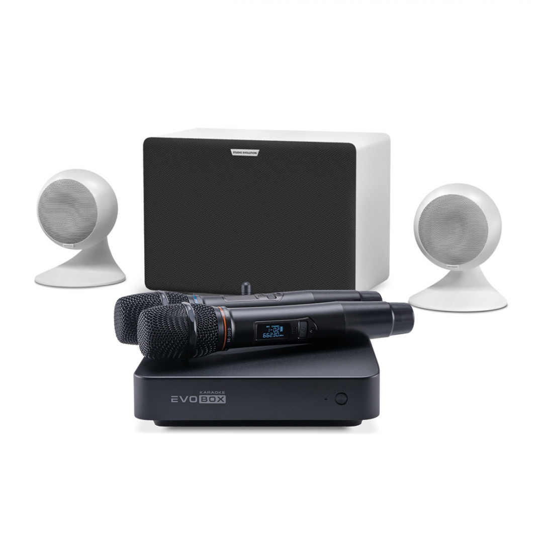 караоке-комплект EVOBOX Classic + EvoSound Sphere 2.1 в Щербинке