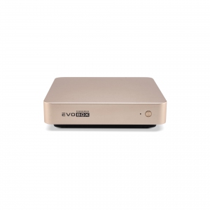EVOBOX с микрофонами в Щербинке