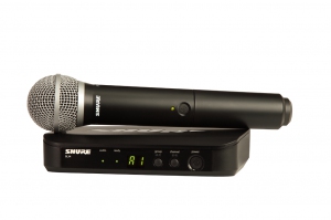 SHURE BLX24E/PG58 M17 вокальная радиосистема в Щербинке